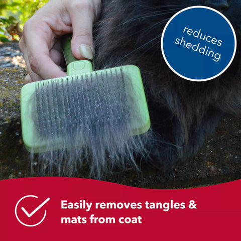 Fur Grooming Bundle for Cats