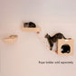 Wall Series: Tree W1907B with Condo, Perch, and Soft Perch by Armarkat