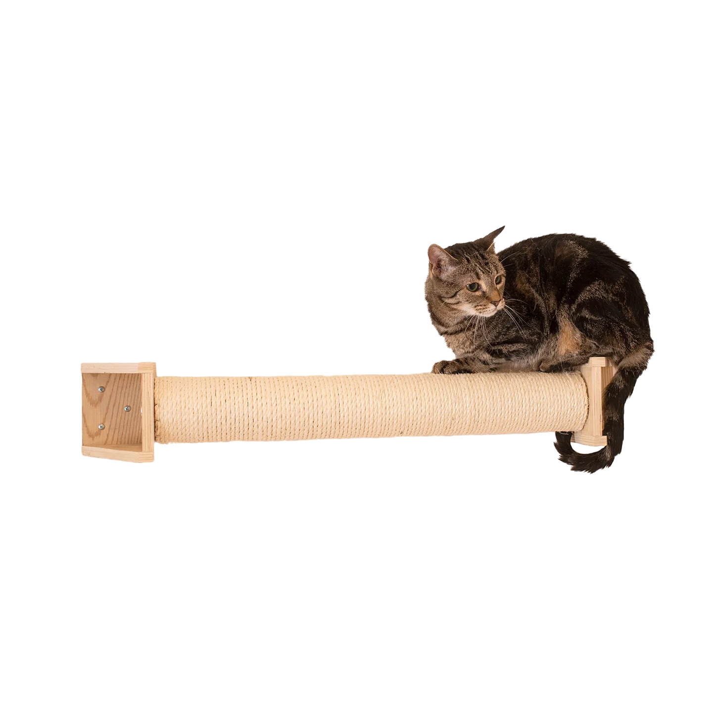 Wall Series: Scratching Post by Armarkat