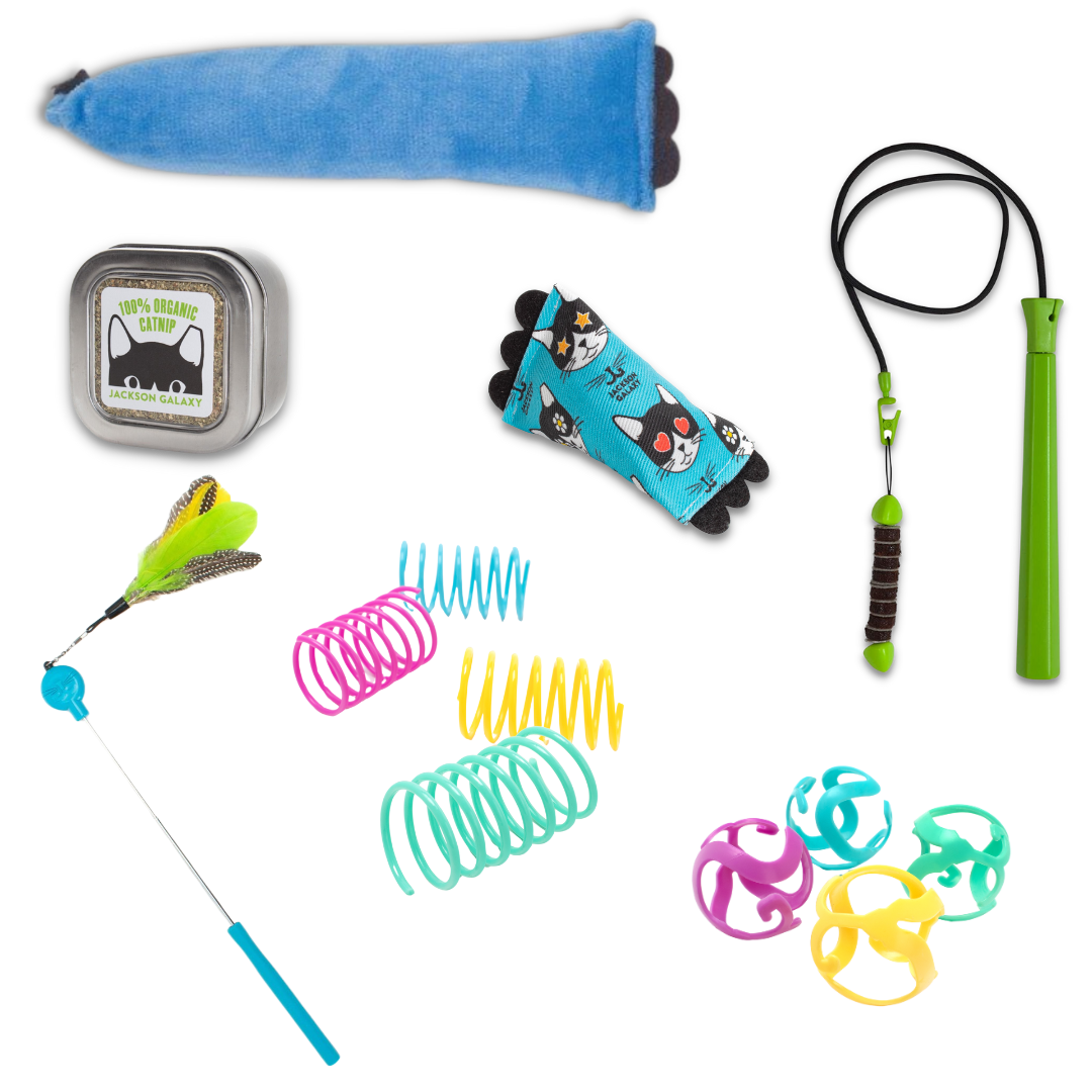 Ultimate Toy Joy Cat Bundle