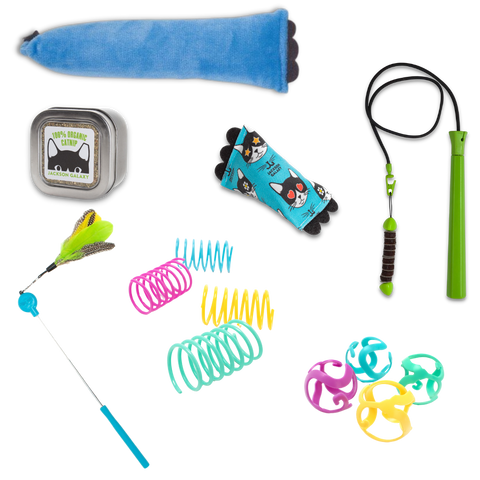 Ultimate Toy Joy Cat Bundle