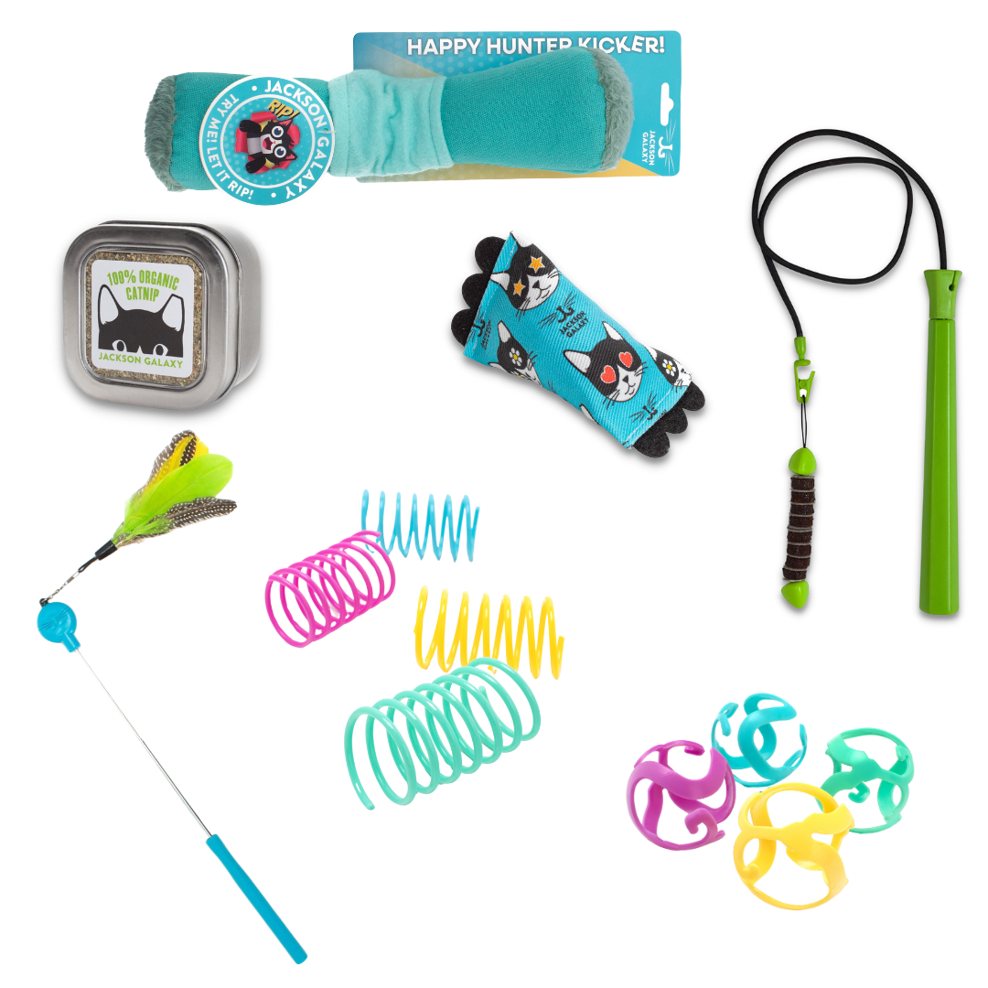 Ultimate Toy Joy Cat Bundle