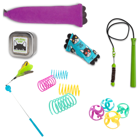 Ultimate Toy Joy Cat Bundle