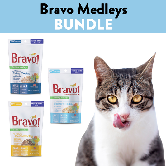 Bravo Medleys Bundle