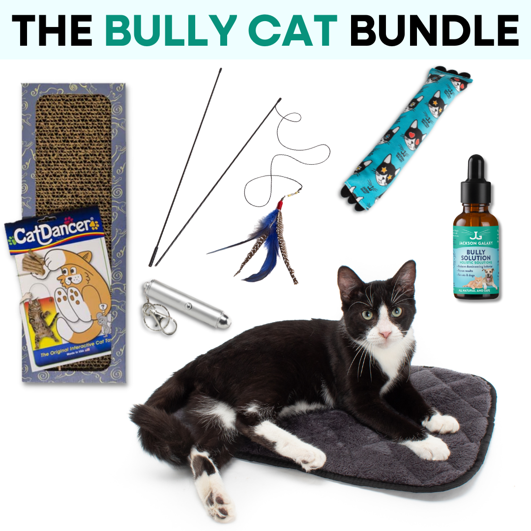 The Bully Cat Bundle