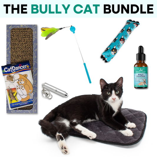 The Bully Cat Bundle