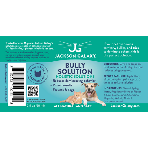 Bully solution for 2024 cats