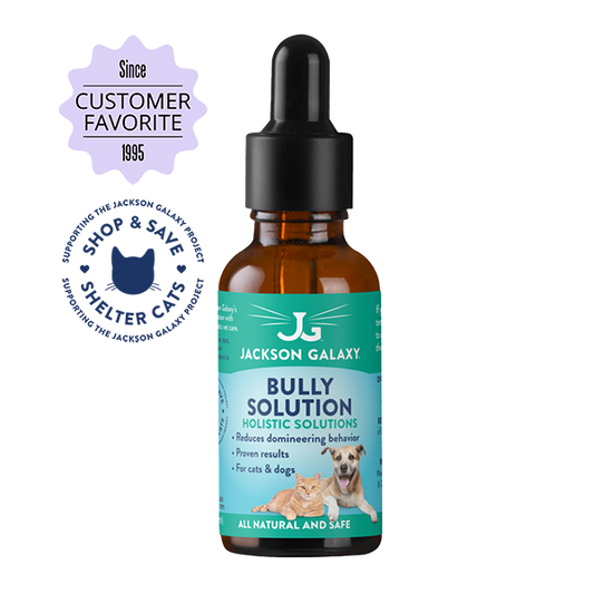 Jackson galaxy products top