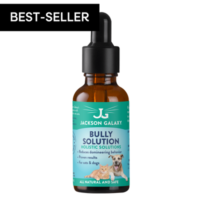 Bully Solution