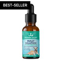 Bully Solution