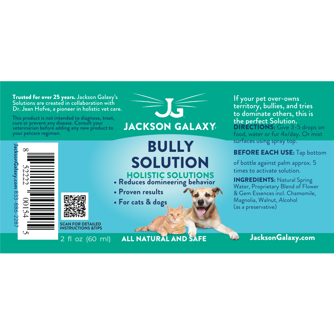 Bully Solution