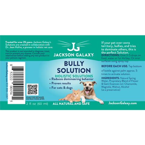 Bully Solution