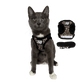 "The True Adventurer" Reflective Cat & Kitten Harness and Leash