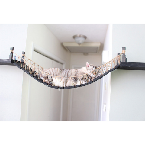 Our Wall-Mounted Cat Bridge by Catastrophic Creations