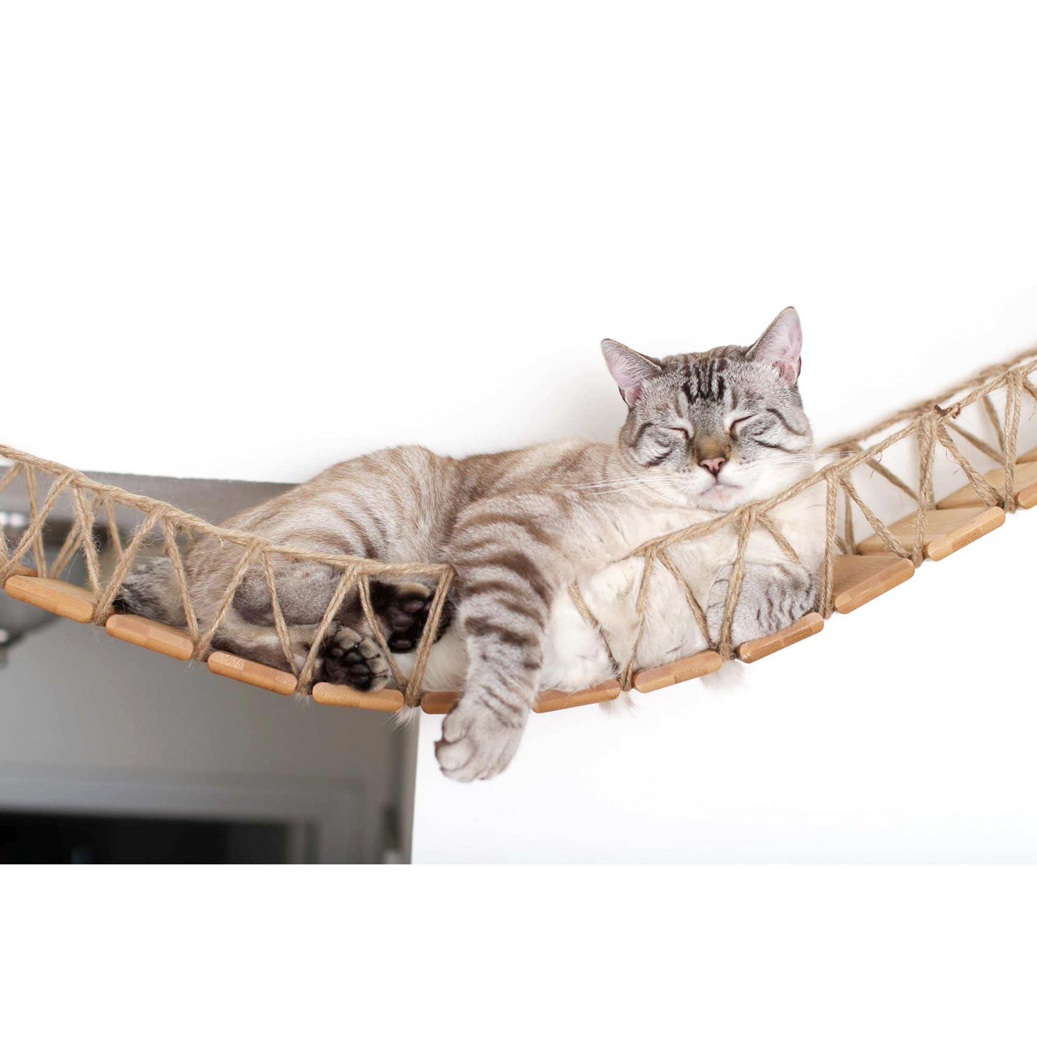 Our Wall-Mounted Cat Bridge by Catastrophic Creations