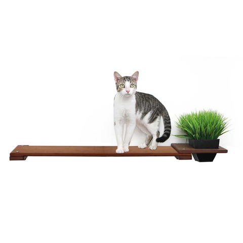 Planter Cat Shelf - for Cat Safe Plants by Catastrophic Creations