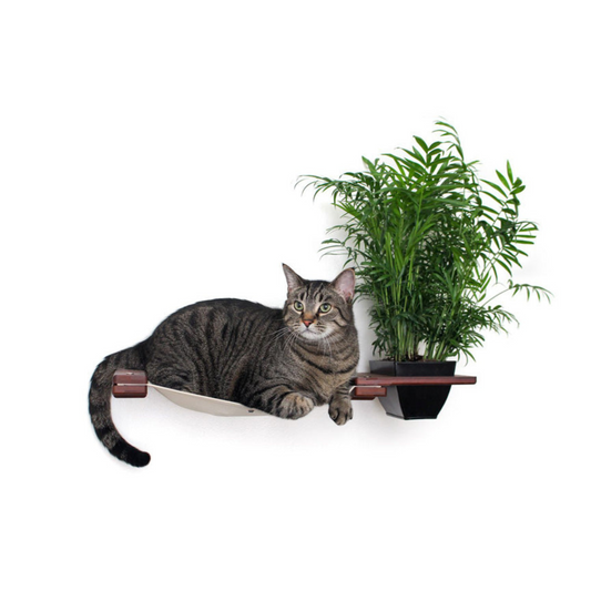 Planter Cat Hammock : Indoor Cat Garden by Catastrophic Creations