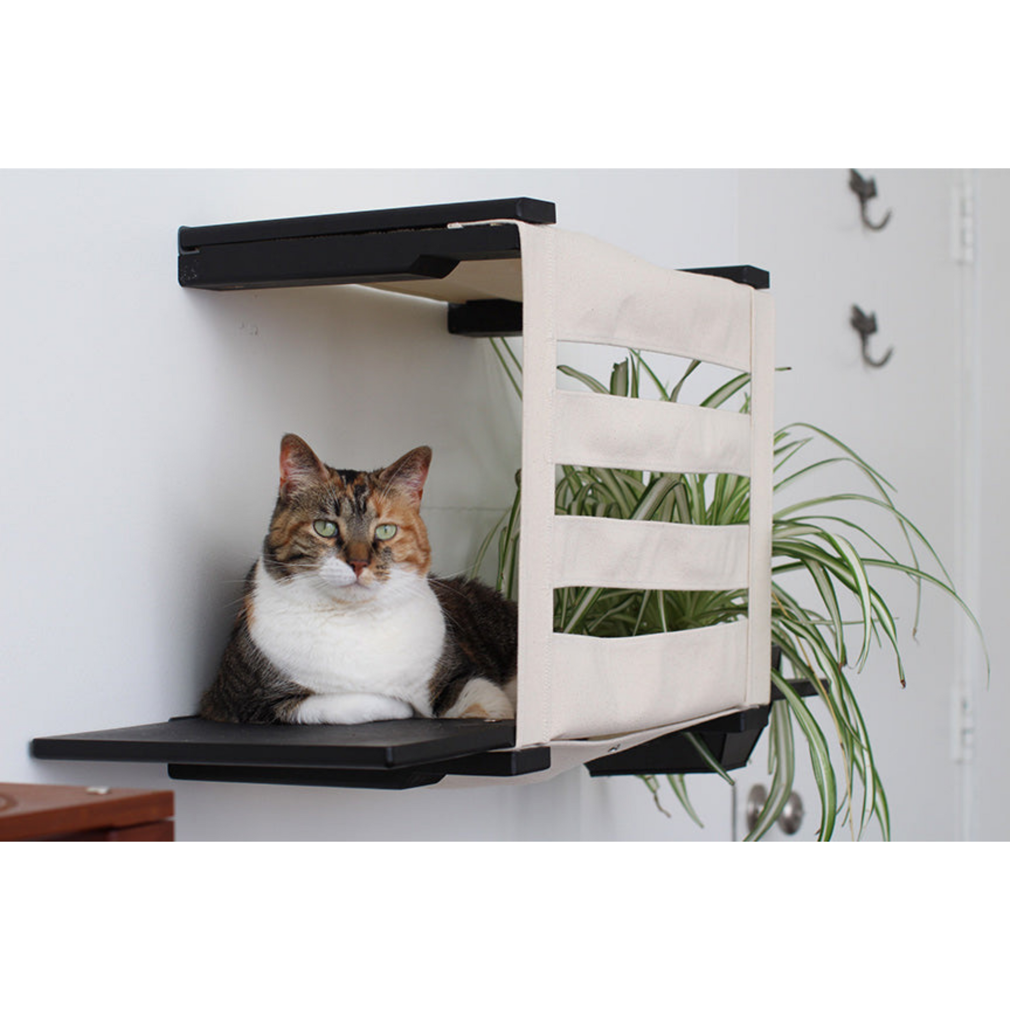 Deluxe Cat Cubby Bed (For Walls) by Catastrophic Creations
