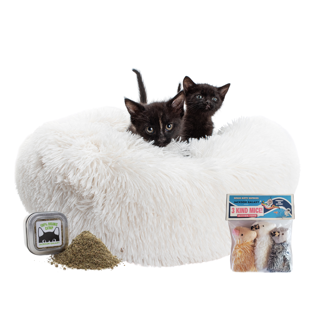 Catnip Catnap Bundle