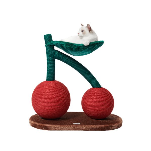 Cherrymain_grande.png?v=1693500048