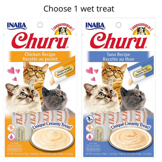 Clicker Training Your Cat Jackson Galaxy