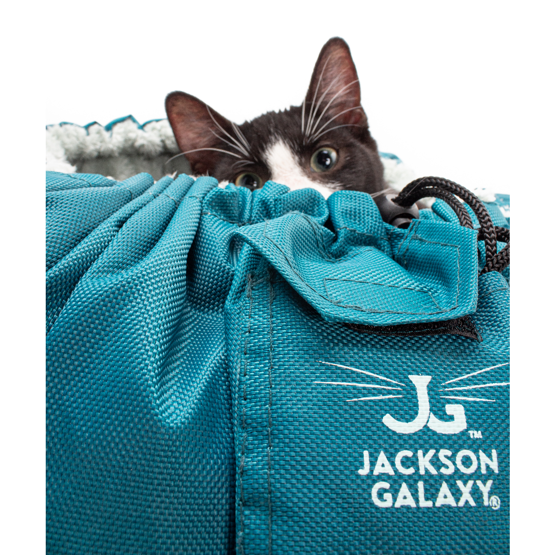 Clamshell rabbit carrier hot sale