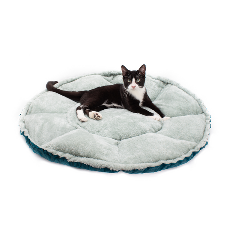 Convertible Clamshell Cat Bed