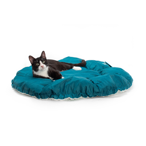 Convertible Clamshell Cat Bed