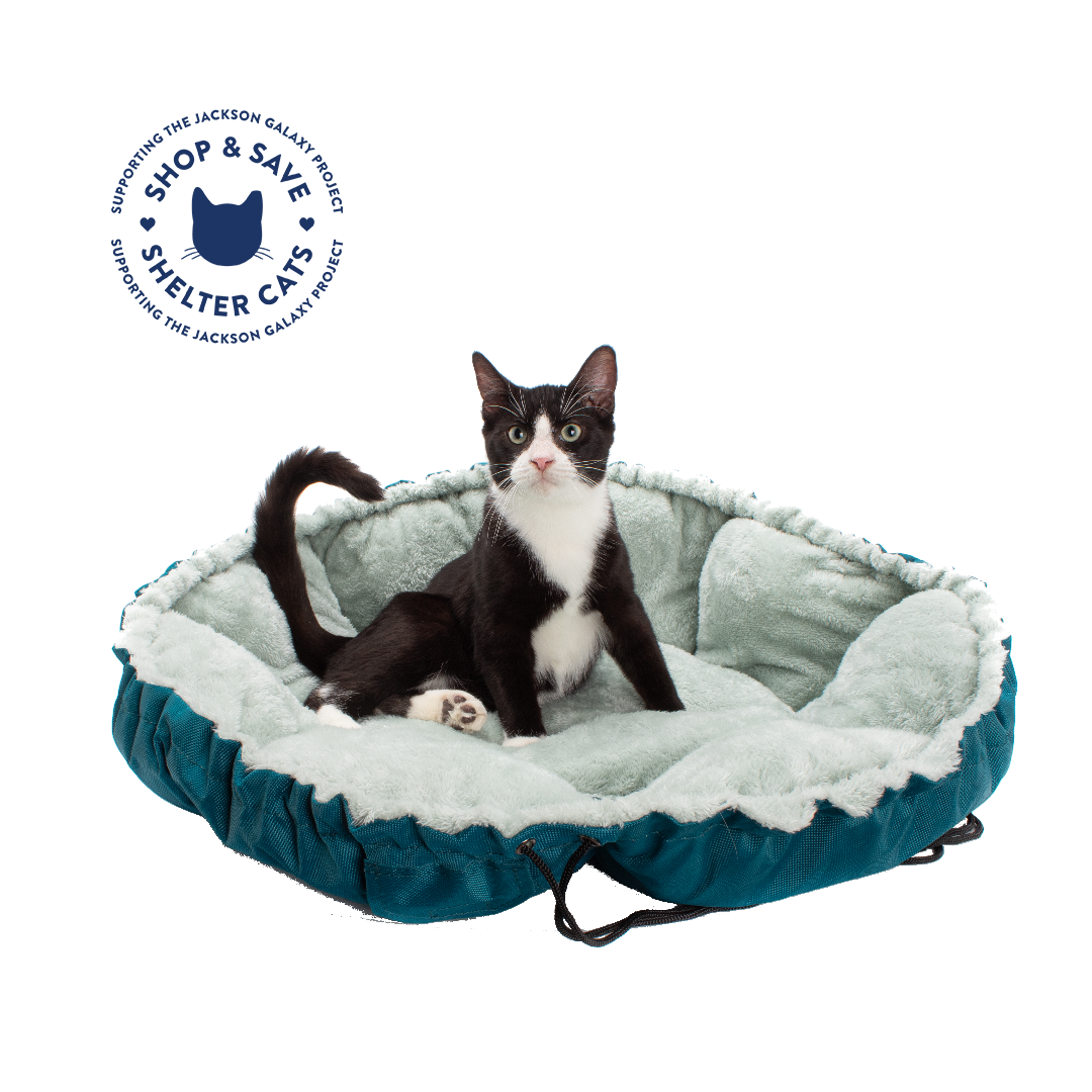 Jackson galaxy dumpling clearance cat bed