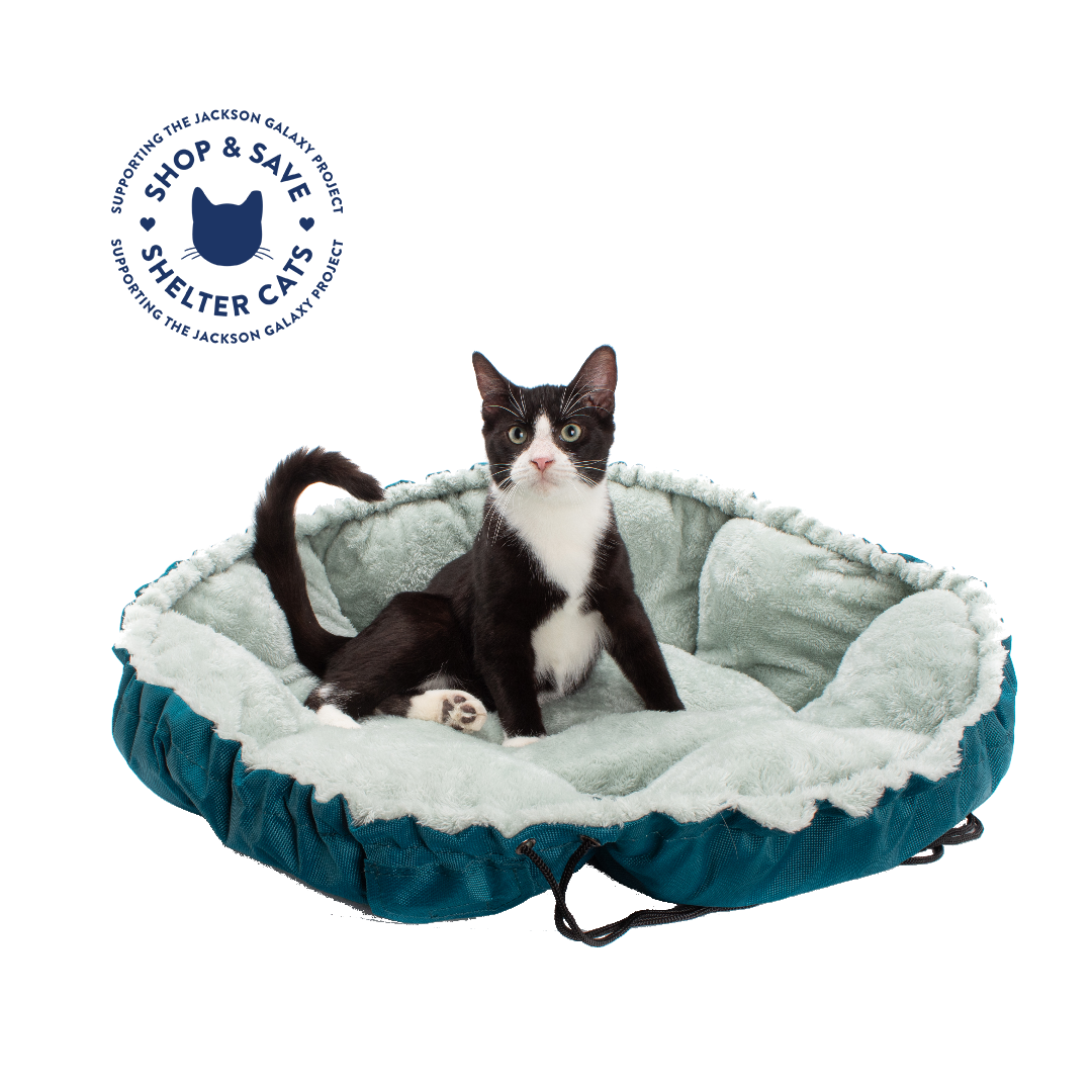Convertible Clamshell Cat Bed