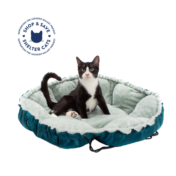 Clamshell dog discount bed