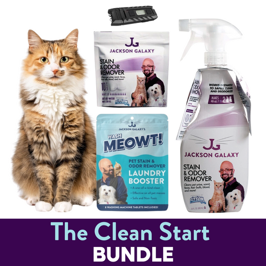 Jackson galaxy deals cat pee cleaner