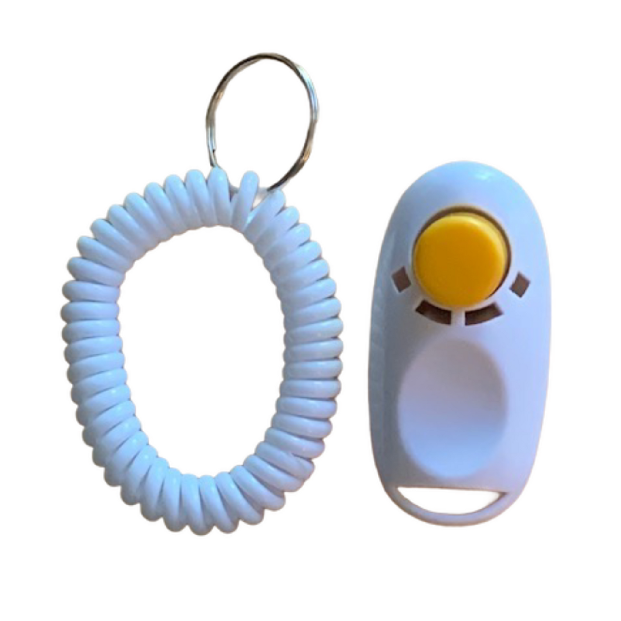 Clicker Training Your Cat Jackson Galaxy