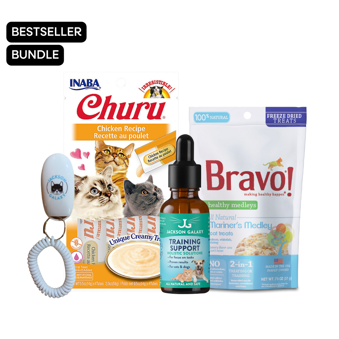 Clicker Training Your Cat Jackson Galaxy