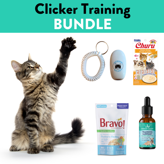 Clicker Training Your Cat Jackson Galaxy