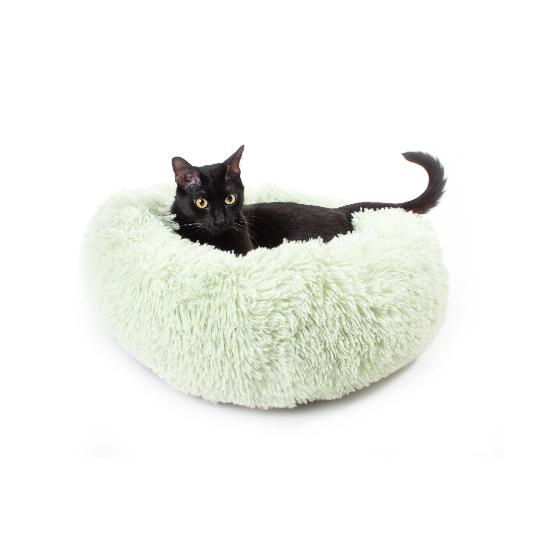 Jackson Galaxy