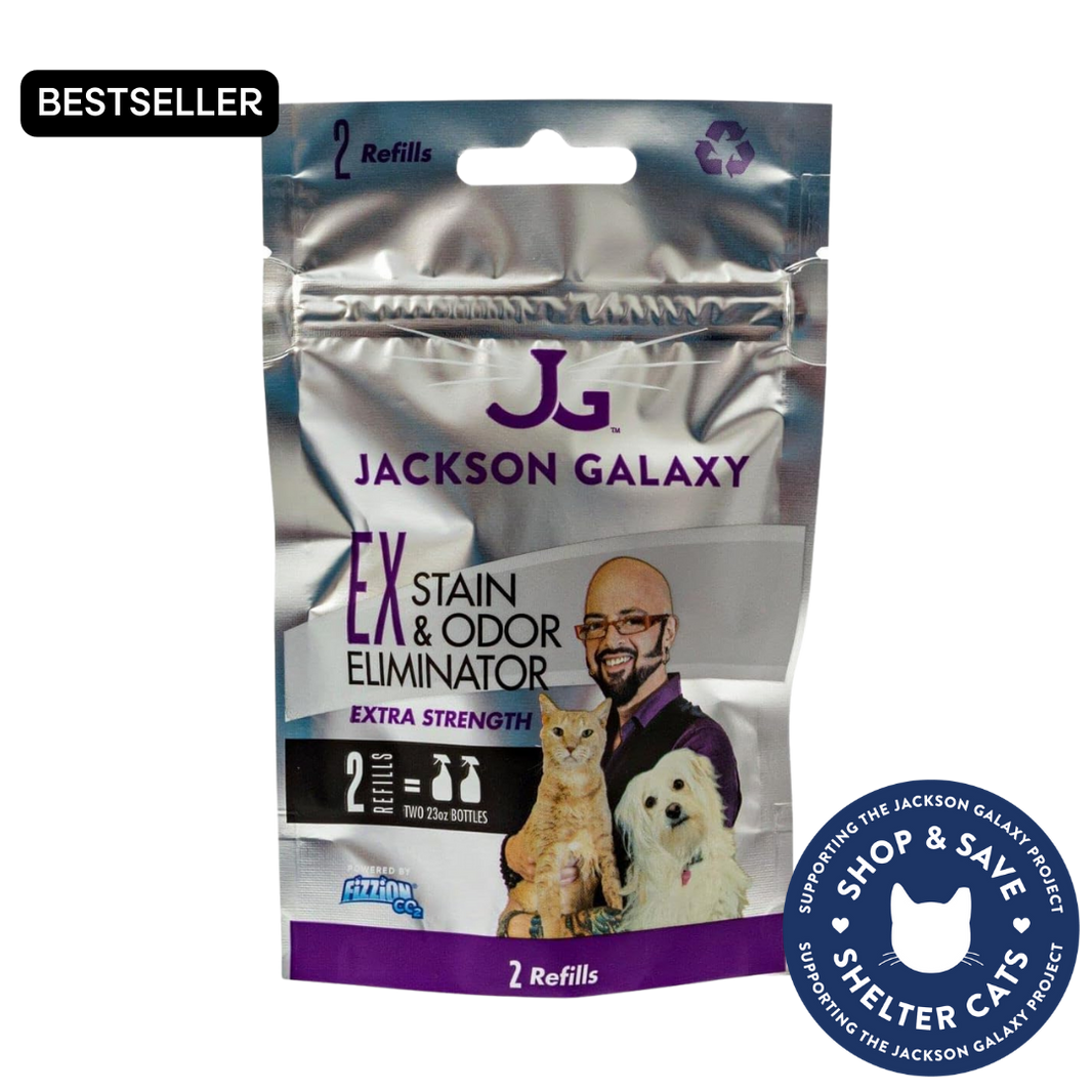 Cat Body Language Tails Jackson Galaxy