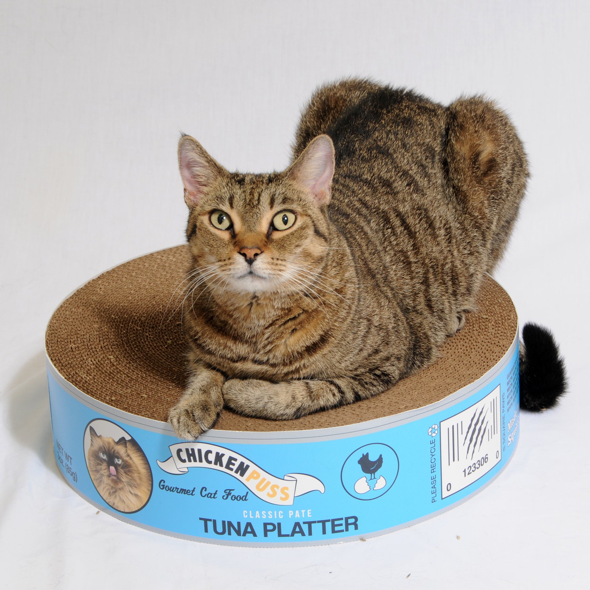 The Endless Buffet Scratch Pad by Square Paws