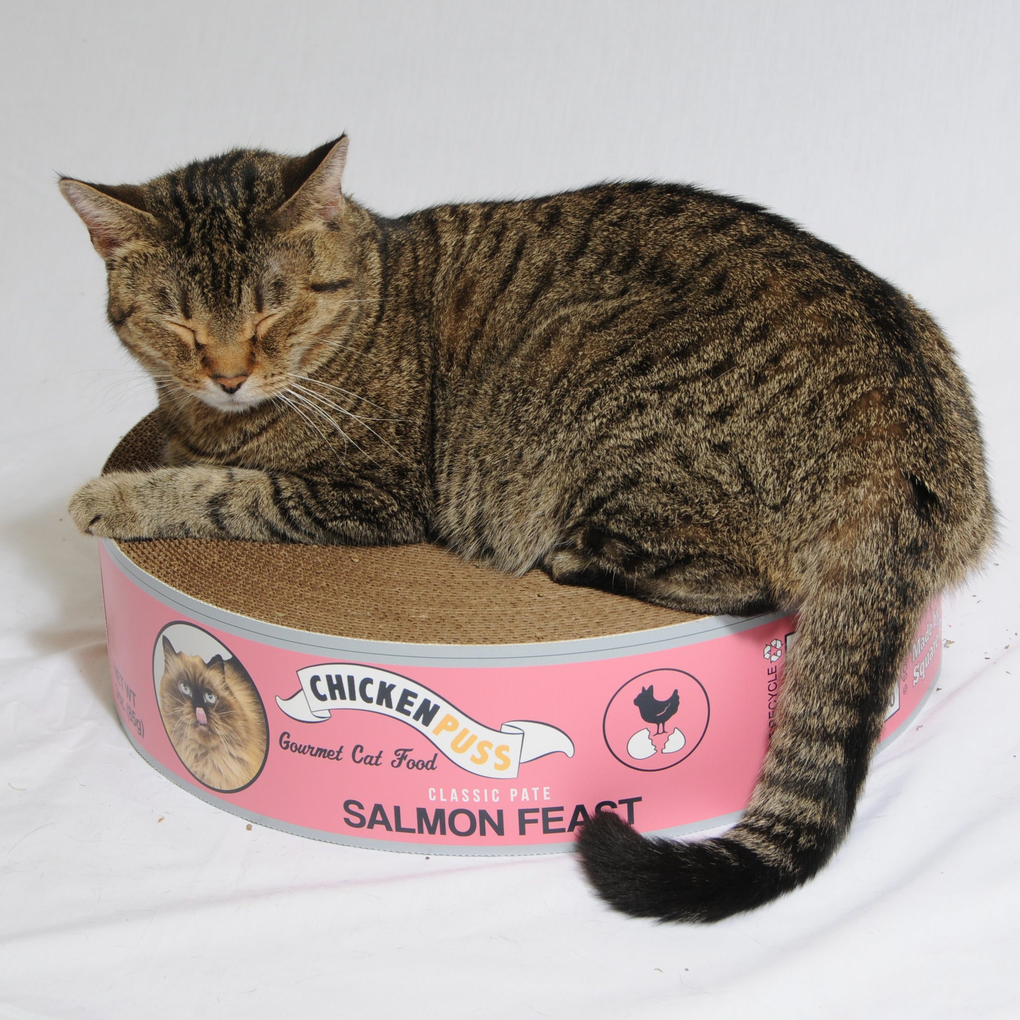 The Endless Buffet Scratch Pad by Square Paws