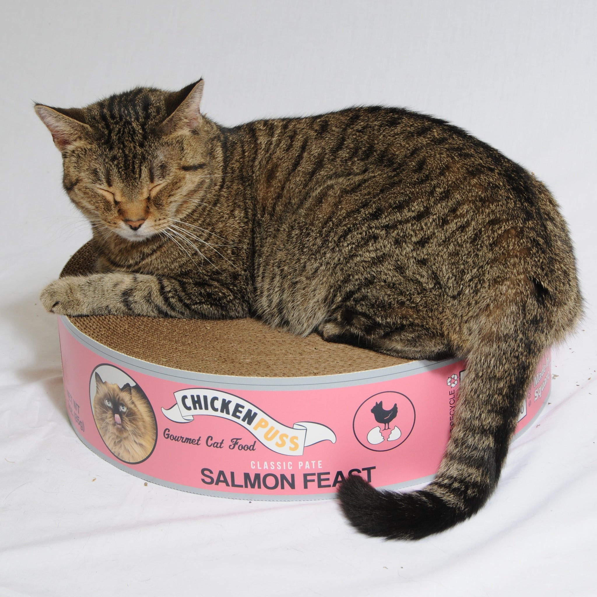 2 Pack - The Endless Buffet Scratch Pad by Square Paws