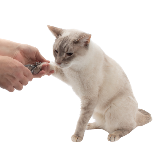 Gentle Grooming Cat Nail Clippers by Jackson Galaxy