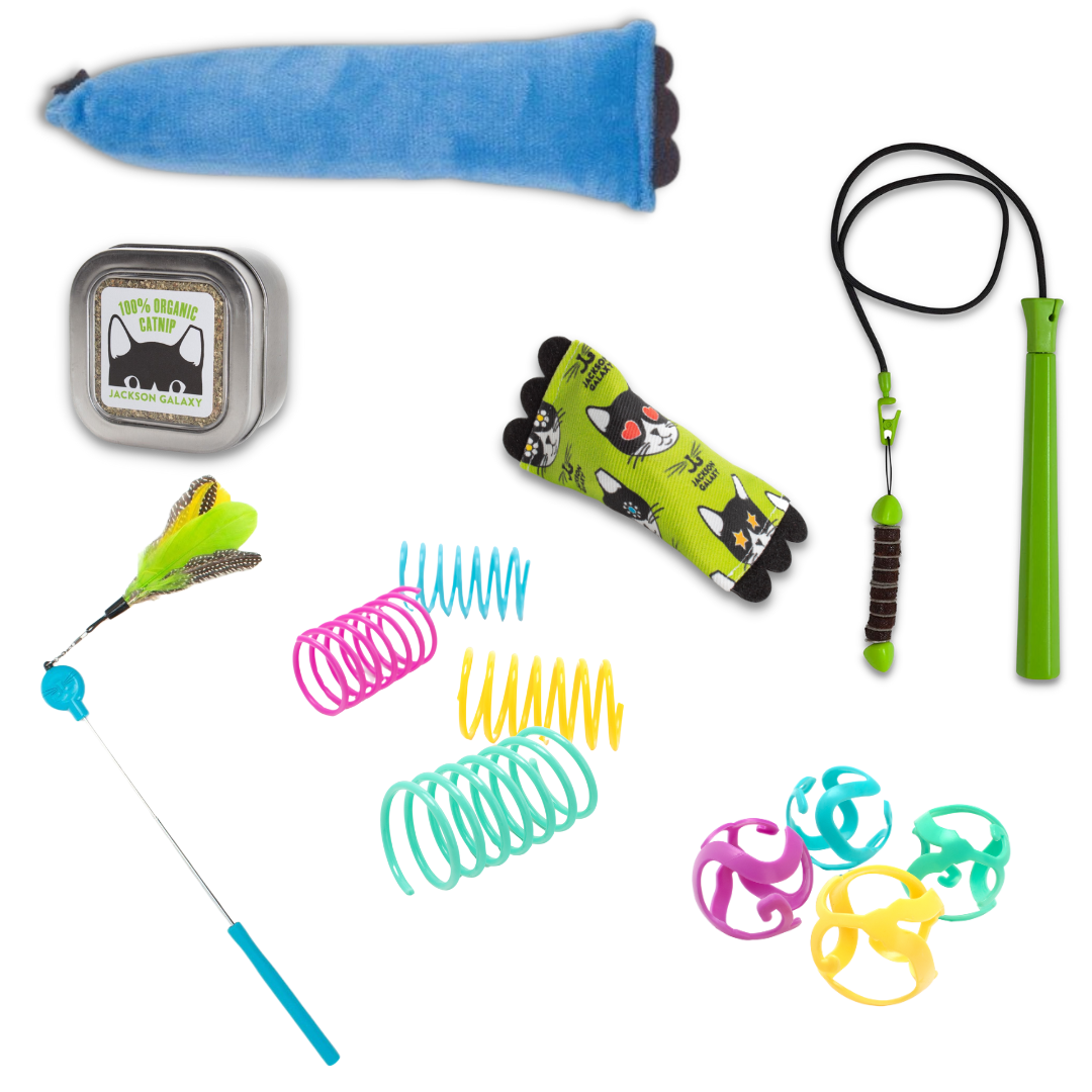 Ultimate Toy Joy Cat Bundle