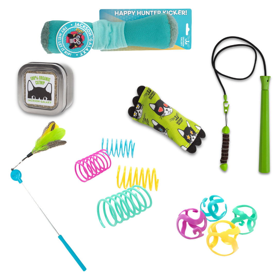 Ultimate Toy Joy Cat Bundle