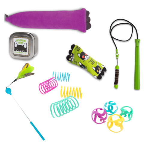 Ultimate Toy Joy Cat Bundle