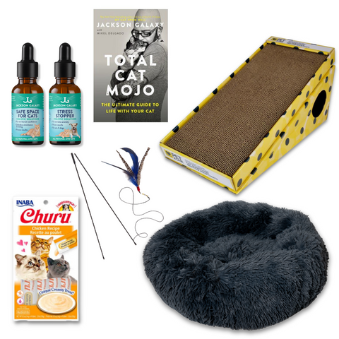 The Wallflower Bundle (For Shy Cats!)