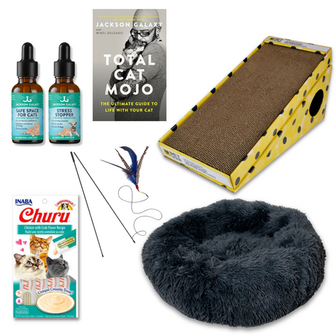 The Wallflower Bundle (For Shy Cats!)