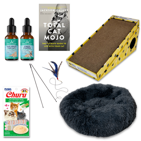 The Wallflower Bundle (For Shy Cats!)