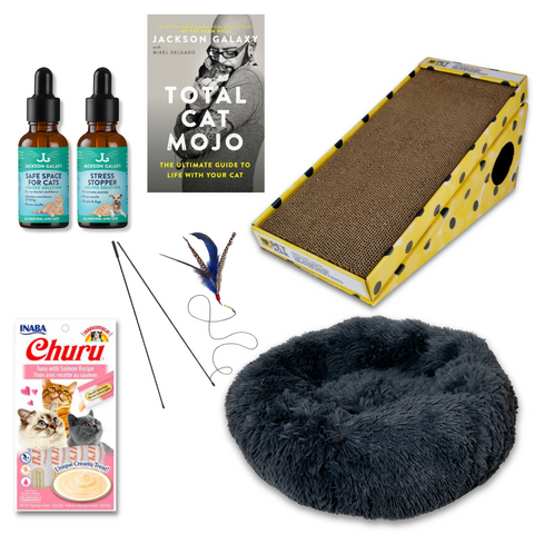 The Wallflower Bundle (For Shy Cats!)