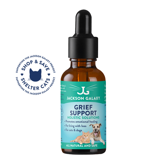 Grief Support (Formerly Loss Solution)