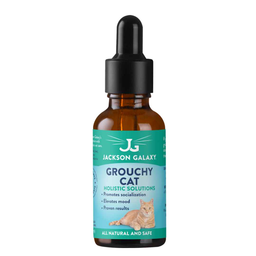 Grouchy Cat (Formerly Grouch Solution)